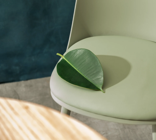 Sustainable Luxury